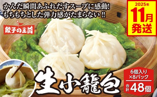 生小籠包 48個 餃子の王国 （小籠包 八代市産生姜使用） 小分け おかず 点心 中華 惣菜 小籠包 しょうが ショウガ お肉 豚肉 国産 モチモチ食感 簡単調理 小分けパック 熊本県 八代市 九州 冷凍【2025年11月発送】