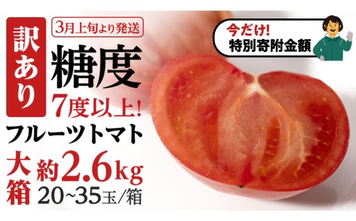 【9/30まで早期予約 特別寄附金額】【 訳あり 】 糖度7度以上！フルーツトマト 大箱 約2.6kg × 1箱 （20～35玉/1箱）2026年3月から発送開始 トマト とまと ブランドトマト 野菜 [BC040sa]