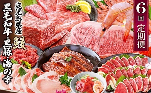 定期便(6回配送)　鹿児島県産うなぎ・黒毛和牛・黒豚・海の幸　HH5-0001_ 肉 牛肉 豚肉 サーロインステーキ 海老 しゃぶしゃぶ 焼肉 うなぎ 【1584184】