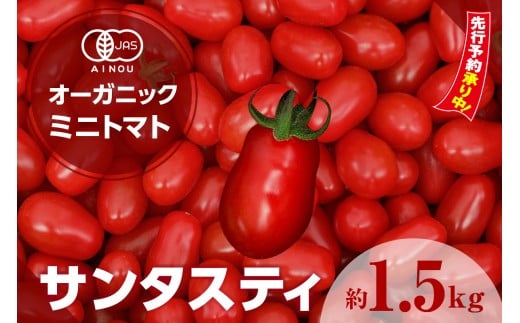 ★先行予約★　オーガニックミニトマト（サンタスティ）約1.5kg ／ とまと 野菜 高糖度 スナックタイプ 愛知県 特産品 1013501 - 愛知県知多市
