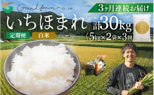 先行予約】定期便 ≪3ヶ月連続お届け≫ 令和7年産 新米 いちほまれ 白米 10kg (5kg×2袋)【2025年11月上旬以降順次発送予定】精米 福井県 美浜町産  白米 こめ コメ お米 おこめ 5キロ 10キロ おすすめ [m46-j002] 2256996 - 福井県美浜町