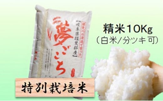 【令和7年産】特別栽培米 10kg【白米､7分ツキ】（夢ごこち）7分ツキ [№5644-7104]