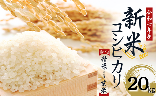 【令和７年産】　水野農園の加須市北川辺産　コシヒカリ　20㎏　《選べる！精米or玄米》｜お米　新米　米　令和７年　こしひかり 2248377 - 埼玉県加須市