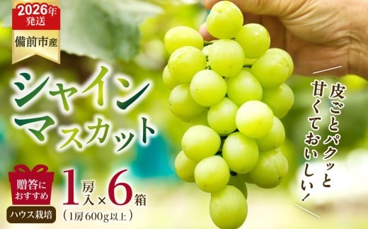 【2026年発送分　先行受付開始！】びぜん葡萄「シャインマスカット」（ハウス栽培）1房入×6箱セット（令和8年8月中旬～9月中旬頃発送）【 岡山県備前市産 シャインマスカット ハウス栽培 1房入×6箱セット 樹上完熟 】 2274845 - 岡山県備前市