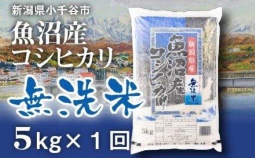 令和7年産 先行予約 魚沼産コシヒカリ 無洗米 5kg×1袋 白米 精米 米太【0020-KT01-01】