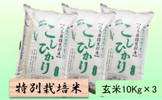 【令和7年産】特別栽培米 30kg【玄米】（コシヒカリ） [№5644-1590]