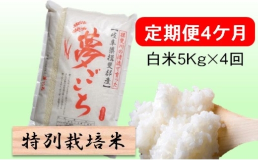 定期便4カ月【令和7年産】特別栽培米5kg【白米】(夢ごこち) 米 お米 白米 コメ ご飯 定期 岐阜県 池田町 [№5644-1597]