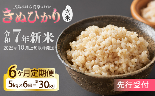 令和7年新米＜先行受付＞【6か月定期便】きぬひかり 玄米5kg [2025年10月上旬以降～発送] お米 米 精米 ごはん ご飯 広島県 三原市 220022