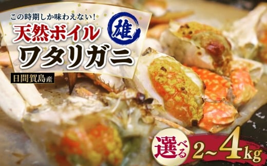 日間賀島産 ワタリガニ 2kg 雄 カニ わたりがに 渡り蟹 伊勢湾 日間賀島 新鮮 鮮度抜群 ふるさと納税カニ 美味しいカニ 美味いカニ 魚介類 魚 海鮮 夕食 ごはん 鮮度抜群 冷蔵 新鮮 惣菜 晩ごはん お米に合う
