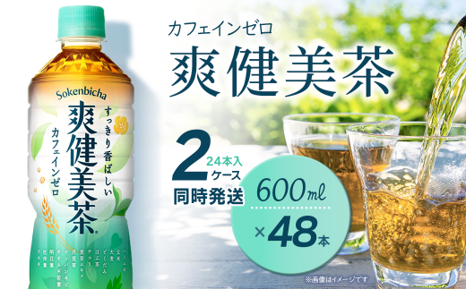爽健美茶 600mlPET 48本(24本入×2ケース) | お茶 爽健美茶 カフェインゼロ 清涼飲料水 飲料 ペットボトル 2箱 愛媛県 西条市 送料無料 2260076 - 愛媛県西条市