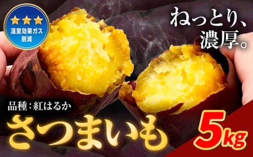 さつまいも 紅はるか 5kg《12月中旬-2月末頃出荷》熊本県 御船町 野菜 芋 さつま いも 焼き芋 送料無料