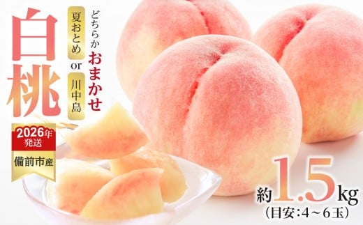 【2026年発送分　先行受付開始！】びぜん白桃　夏おとめ白桃・川中島白桃のうち1品種　約1.5kg（令和8年7月中旬～7月下旬頃発送）【 岡山県備前市産  夏おとめ白桃  川中島白桃 1品種のみ 約1.5kg （４～６玉目安）】 2274840 - 岡山県備前市
