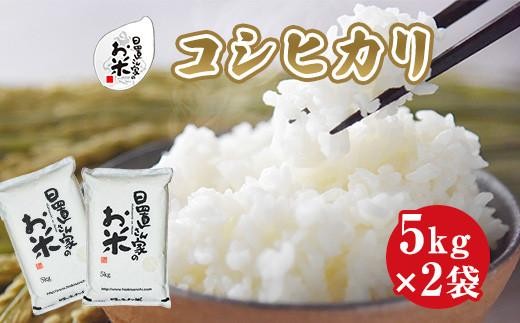 148.日置さん家のお米「コシヒカリ」5kg×2袋【玄米・2025年産】 2253915 - 鳥取県北栄町