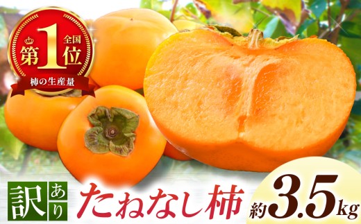 【なら育ち 益田農園】たねなし柿　訳アリ　約3.5kg(14玉～18玉） | フルーツ 果物 くだもの 柿 かき カキ 奈良県 五條市 大容量 たっぷり どっさり 種なし わけあり 訳あり 持続可能 渋抜き アルコール 炭酸 ガス アルコール脱渋 9月 10月 秋 旬 食物繊維 豊富 美容 健康 家庭用 自宅用 ご自宅用 農家直送 産地直送 益田農園 お取り寄せ グルメ 送料無料