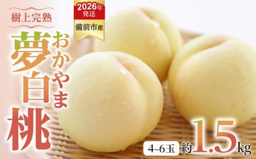 【2026年発送分　先行受付開始！】びぜん白桃　おかやま夢白桃　約1.5kg（令和8年7月中旬～7月下旬頃発送）【岡山県備前市産 おかやま夢白桃 約1.5kg（４～６玉目安）】 2274838 - 岡山県備前市