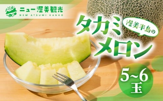 [先行予約]タカミメロン 5 〜 6玉 入り( 計 4kg 以上 )メロン タカミメロン フルーツ 果物 愛知県 田原市 渥美半島 お取り寄せ スイーツ ギフト 贈り物 プレゼント 贈答 贈答用 ニュー渥美 観光