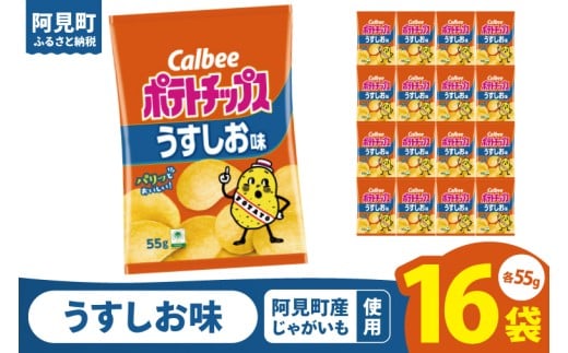 カルビー ポテトチップスうすしお味（55g） 16個｜Calbee お菓子 菓子 おやつ おかし ぽてち ポテチ スナック おつまみ ジャガイモ じゃがいも（93-01）