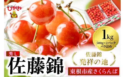 2026年 東根産さくらんぼ「佐藤錦」1kgバラ詰め(500g×2ﾊﾟｯｸ) 秀品 Lサイズ 東根農産センター提供 山形県 東根市 hi027-215
