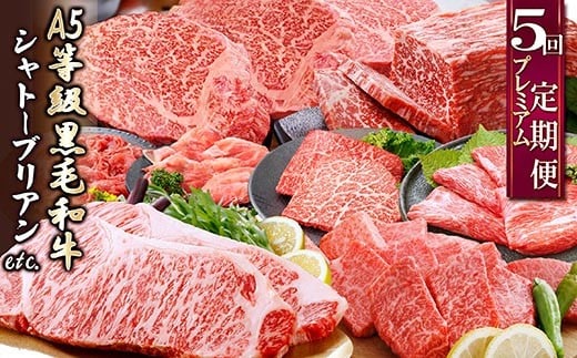 定期便(5回配送)A5等級黒毛和牛シャトーブリアン・サーロインステーキetc GG-0030_ 肉 お肉 牛肉 鹿児島県産 切り落とし 赤身 ブロック 焼肉 しゃぶしゃぶ すき焼き すきやき さつま揚げ 人気 【1166762】