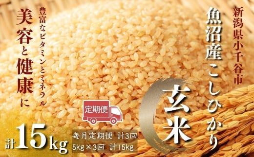 【玄米 選別品】令和7年産 先行予約 魚沼産コシヒカリ 玄米 定期便5kg×3回 （毎月お届け）米太【0020-KT07DB00-01】