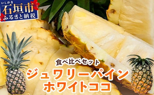【マツコの知らない世界で絶賛！】《2026年5月～7月順次発送》最高糖度20度！？ 完熟の極 石垣島産ジュワリーパインとホワイトココの食べ比べセット 【 沖縄 石垣島 石垣 八重山 パイン ホワイト ジュワリー 期間限定 数量限定 TV テレビ 紹介 マツコ 】TF-20_R8 1360660 - 沖縄県石垣市