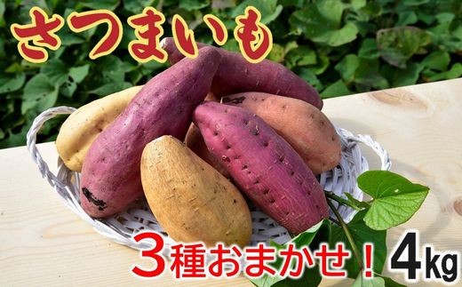 040-01 さつまいも3種おまかせ4kgセット 418915 - 鹿児島県南九州市
