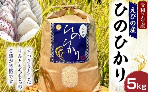《令和7年産先行予約》【2025年12月発送】米 ひのひかり 5kg 九州 霧島 えびの産 ヒノヒカリ 発送直前に精米 農家 直送 お米 おこめ こめ コメ 白米 ふるさと納税 5キロ 九州産 宮崎県産  宮崎県 送料無料