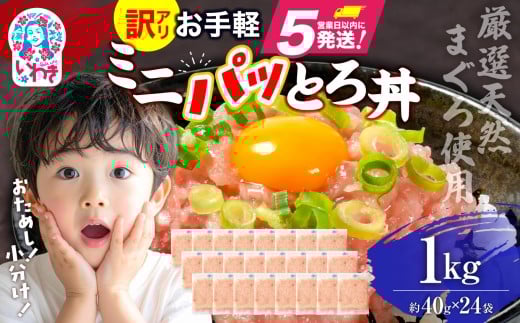 ねぎとろ 約1kg（約40g×24パック）小分け 冷凍 個包装 使い切りパック 1人前 まぐろたたき まぐろ 2156415 - 福島県いわき市