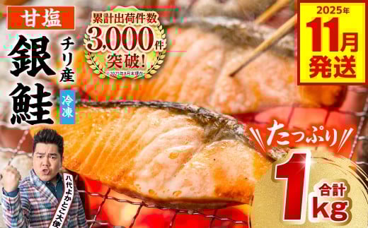 【訳あり】 銀鮭 切り身 たっぷり合計 1kg （鮭 塩鮭 サケ サーモン 甘塩 切身 切り身 大容量 人気の鮭 カマ 希少 魚 鮮魚 冷凍） 【2025年11月発送】