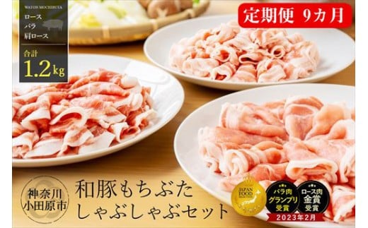 【定期便9ヵ月】 和豚 もちぶた しゃぶしゃぶ セット 合計1.2kg（ロース・バラ・肩ロース）【ポーク 豚バラ 豚ロース 豚しゃぶ しゃぶしゃぶ肉 豚肉 贈答品 贈答用 ギフト お取り寄せ 御中元 お中元 お歳暮 贈り物 神奈川県 小田原市 】