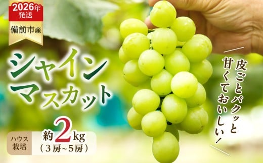 【2026年発送分　先行受付開始！】びぜん葡萄「シャインマスカット」（ハウス栽培）約2kg入（令和8年8月中旬～9月中旬頃発送）【 岡山県備前市産 シャインマスカット ハウス栽培 約2kg （3～5房目安）樹上完熟 】 2274847 - 岡山県備前市