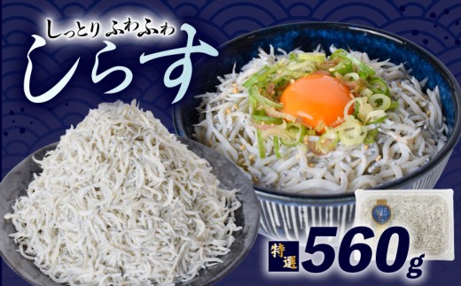 【特選】釜揚げしらす 約560g ( 約70g × 8パック ) 2258543 - 高知県安芸市