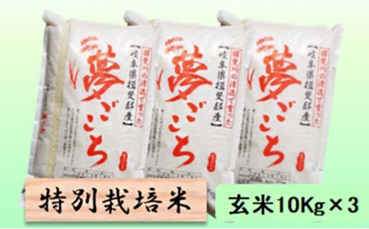 【令和7年産】特別栽培米 30kg【玄米】（夢ごこち） [№5644-1592]