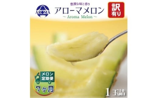 ＜毎月定期便＞＜訳あり＞アローマメロン 1玉　全7回【4072002】