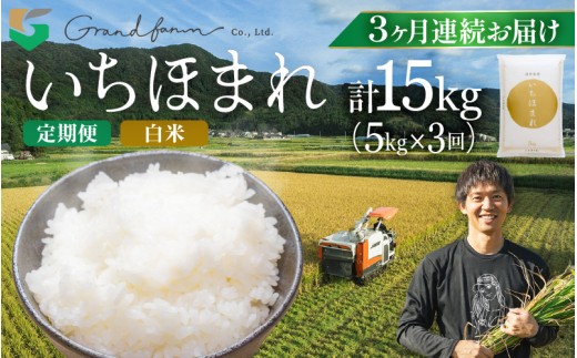 【先行予約】定期便 ≪3ヶ月連続お届け≫ 令和7年産 新米 いちほまれ 白米 5kg 【2025年11月上旬順次発送予定】 精米 福井県 美浜町産 白米 こめ コメ お米 おこめ 5キロ 10キロ おすすめ  [m46-e001] 2257000 - 福井県美浜町