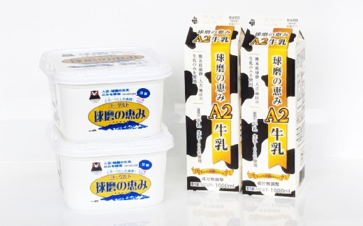 球磨の恵み「A2牛乳」と「球磨の恵みヨーグルト（加糖）｣ セット 生乳 乳製品 カゼイ菌 ぎゅうにゅう ミルク 