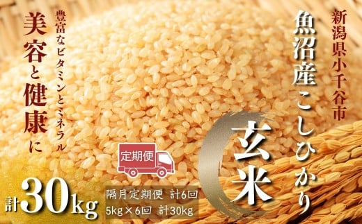 【玄米 選別品】令和7年産 先行予約 魚沼産コシヒカリ 玄米 定期便5kg×6回 （隔月お届け）米太【0020-KT10DB00-01】