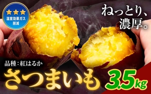 さつまいも 紅はるか 3.5kg[12月中旬-2月末頃出荷]熊本県 御船町 野菜 芋 さつま いも 焼き芋 送料無料