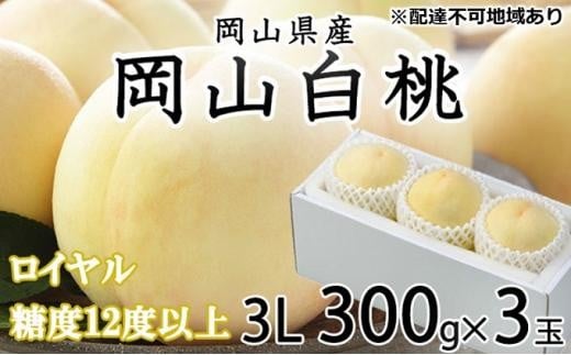 桃 2026年 岡山 白桃 ロイヤル 3玉×約300g（3Lサイズ）JAおかやまのもも（早生種・中生種） もも モモ 岡山県産 国産 フルーツ 果物 ギフト