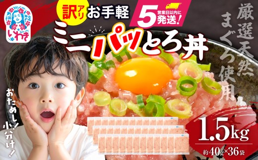ねぎとろ使い切りパック　約1.5kg（約40g×36パック）| まぐろ まぐろたたき ねぎとろ マグロ パーティー 使い切りパック 海鮮丼 お寿司 軍艦巻き 福島県 いわき市 父の日【DK011-1500g】 2203324 - 福島県いわき市