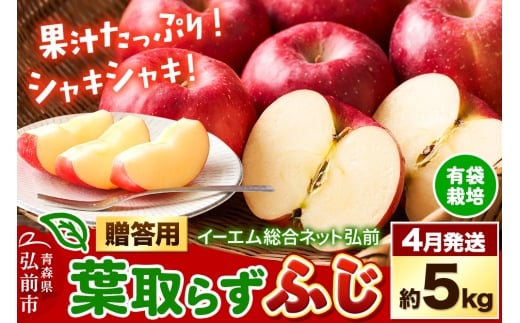 [26年4月クール便発送]りんご 贈答用 葉取らず ふじ 約5kg(有袋栽培・CA貯蔵)EMりんご[レビューキャンペーン]