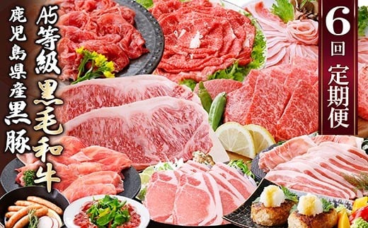 定期便(6回)A5・A4等級黒毛和牛・黒豚etc FF-0061_ 定期便 牛肉 肉 お肉 サーロイン ステーキ 焼肉 ハンバーグ 切り落とし 豚肉 生姜焼き ロース バラ しゃぶしゃぶ ホルモン ソーセージ 生ハム 【1166779】