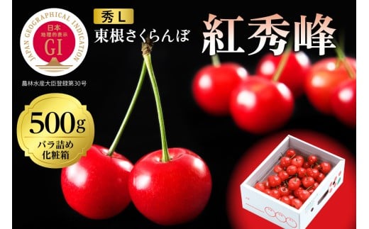 2026年 GI東根さくらんぼ「紅秀峰」500gバラ詰め 秀品 Lサイズ 東根農産センター提供 山形県 東根市 hi027-228