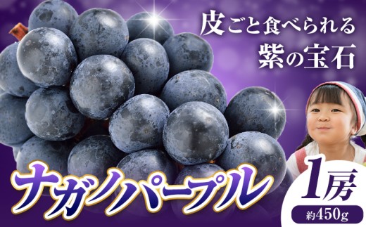ぶどう ナガノパープル 1房 450g 株式会社ヤマナカ《8月中旬-9月下旬頃出荷》茨城県 結城市 アッシーリス 種なしぶどう たねなし 皮ごと食べられる フルーツ 旬 果物 冷蔵便 送料無料