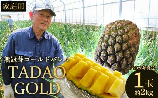 TADAO GOLD　家庭用（無冠芽）1玉　約2kg【ゴールドバレル】2026年発送 ゴールドバレル パインアップル タダオゴールド たまき ただお 逸品 パイン職人 パイナップル 国産パイン 家庭用 パイン 匠 高級フルーツ 南国フルーツ 特別 希少 玉城忠男 農家直送 沖縄 東村 810551 - 沖縄県東村