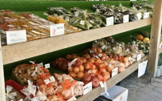 中野方町の特産品！ 旬の農産加工物セット 棚田米入り お米 野菜 やさい 野菜セット詰め合わせ 送料無料 お取り寄せ ギフト 贈答 プレゼント 恵那市 / なかのほう不動滝やさいの会 [AUCB001]