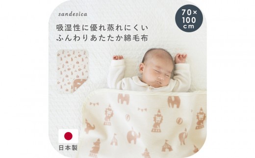 2510-9999-31 綿毛布ケット フェスタ
