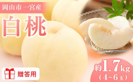 桃 2026年  贈答用 岡山市一宮産 白桃（早生、中生種）約1.7kg 4～6玉 もも モモ フルーツ 果物 ギフト 犬塚農園