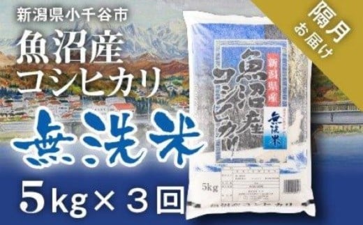 令和7年産 先行予約 魚沼産コシヒカリ 無洗米 定期便5kg×3回 （隔月お届け）米太【0020-KT03DB00-01】