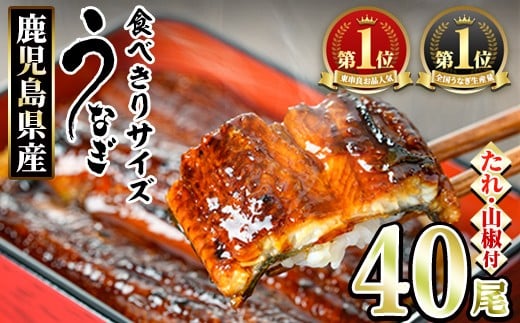 【1434330a】＜食べきりサイズ！＞東串良町のうなぎ蒲焼(無頭)(40尾・計4000g・タレ、山椒付) うなぎ 高級 ウナギ 鰻 国産 蒲焼 蒲焼き たれ 鹿児島 ふるさと 人気 【アクアおおすみ】